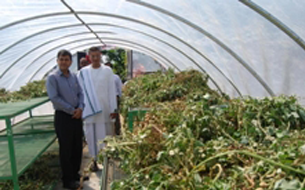Giving Children the Best Meal - The Kitchen Garden